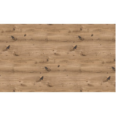 8088/7 Honey Oak Столешница СЛОТЕКС Р 4150*800*40 1п/5 Серия е3