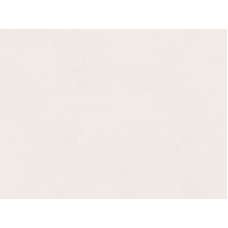 8706/Ur Biscotto Фасадное полотно ДСП 2440*1830*18 серия DUCO 2 ЗАКАЗ