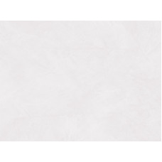 8704/St Denver Фасадное полотно ДСП 2440*1830*18 серия DUCO 2