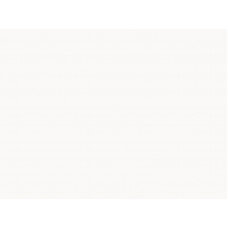 0651/Ar Bergen Фасадное полотно Duco ДСП влаг. 2800*2070*18