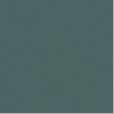 Кромка EVS011/3027 Сумрачный Нефрит/Зеленый лес 22*0,8мм EVOGLOSS