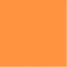 Кромка Оранжевый цитрусовый М.702.S01 19*0,8мм ABS (Италия)