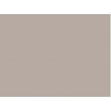 Кромка РЕХАУ 410004U Утренний капучино 23*1 мм