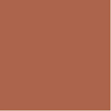 Кромка Терракотовый степной M.710.S01 23*0,8мм ABS (Италия)