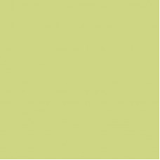 Кромка Зеленый ивовый M.607.S01 19*0,8мм ABS (Италия)