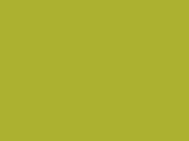 700 color. Oracal Lime Green 063. NCS s3560-g. Oracal 641 063. Оракал 063м.